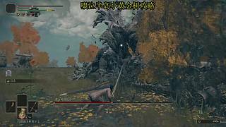 很呆的萌新玩转刺客信条起源最高难度。