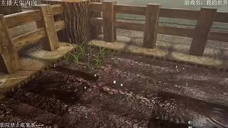 电影级画质，失眠者福音~