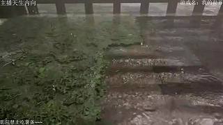 电影级画质，失眠者福音~