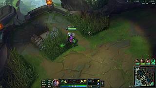 精英手册行将要起步！