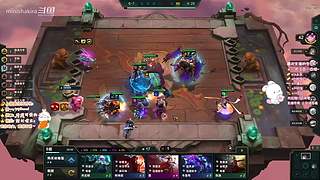 宠物防御战概况宣传大使