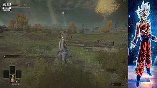 八蛋陪伴，搞笑不断