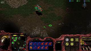 星际之带头大哥