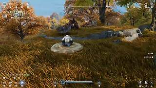 有车位，王者世界