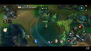 菜鸡互啄菜鸡单排上分