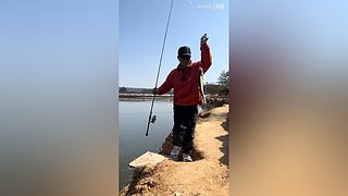 亮gnailux的直播间