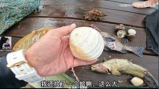 周二11点左右见~