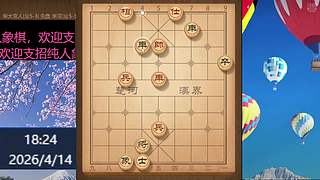 纯人象棋，请多多服务