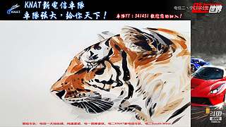 飚车世界电信二丶宁C1001警的直播间