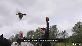 帝国时代4战役剧情