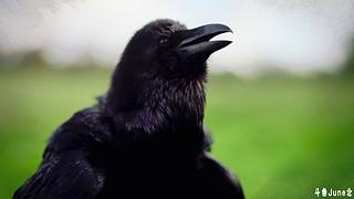 帝国时代4战役剧情