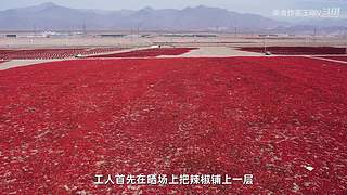 厨师长教你做菜