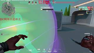 整个部斗鱼最热爱瓦的主播