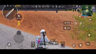 娱乐吃鸡 钢枪fw