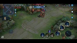 我想躺赢上王者 8655880