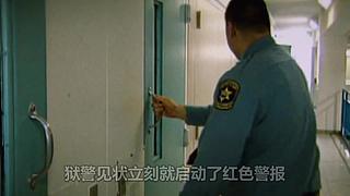 奇趣研究的直播间