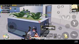 脑子不好的栗子