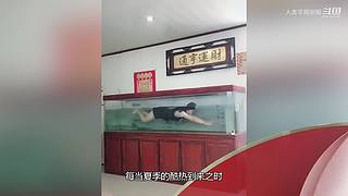 魏蜀吴群雄争霸，发弹幕加入国战