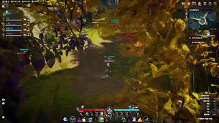 随缘播一播吧！！！