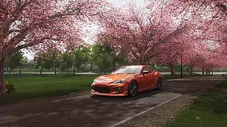 风景-----马拉松