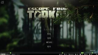 大彬彬之塔科夫储老六