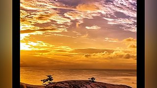 不羡鸳鸯不羡仙啊