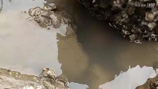 渔妹带你来赶海，来看有没有你没见过的