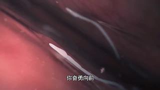 【所长来了】使用宇宙的未知