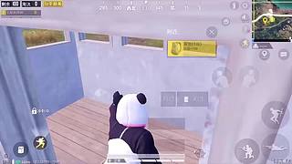 小奔奔解说的直播间