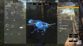 遛弯！！！！！