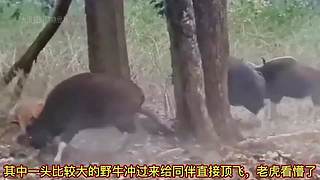 带你了解你不知道知识