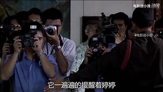 迷小雅火爆爽剧解说