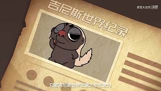 摩登大自然开播哦