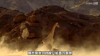 王生怪谈奇闻怪事