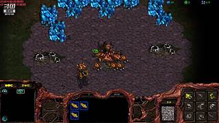 暴风虫族Ameba教你玩转星际争霸I