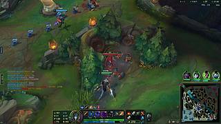 网二宗师上单随便打打