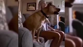 唉呀妈呀！笑抽抽了！