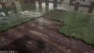 电影级画质，失眠者福音~