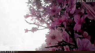 电影级画质，失眠者福音~