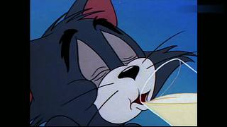 枫泽雨畔的直播间