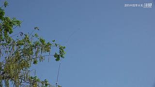 《游钓中国》第十季同步更新中