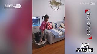 魏蜀吴群雄争霸，发弹幕加入国战