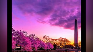 不羡鸳鸯不羡仙啊