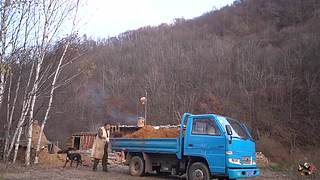 来来嗨嗨嗨
来来来