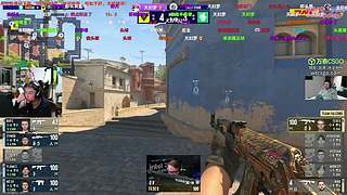 凌晨来看猎鹰蜜蜂！~