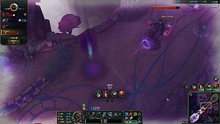 驴酱新人：乱斗一会