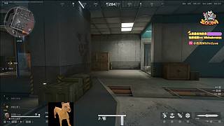 【小白鸽】和旭旭玩