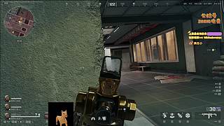 【小白鸽】和旭旭玩