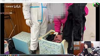 甲鱼：PRAGMATA gogogo