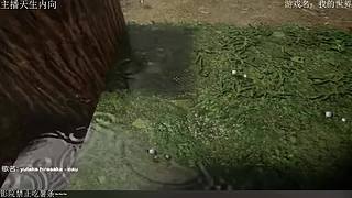 电影级画质，失眠者福音~